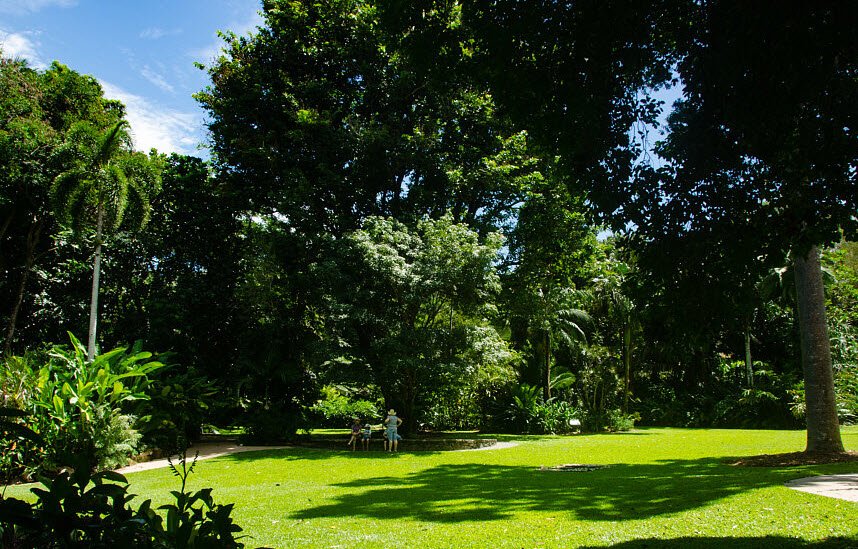 Cairns Botanic Gardens, Edge Hill, Queensland, Australia, Australia
